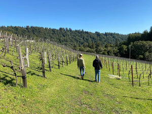 Santa Cruz Mountains Maverick