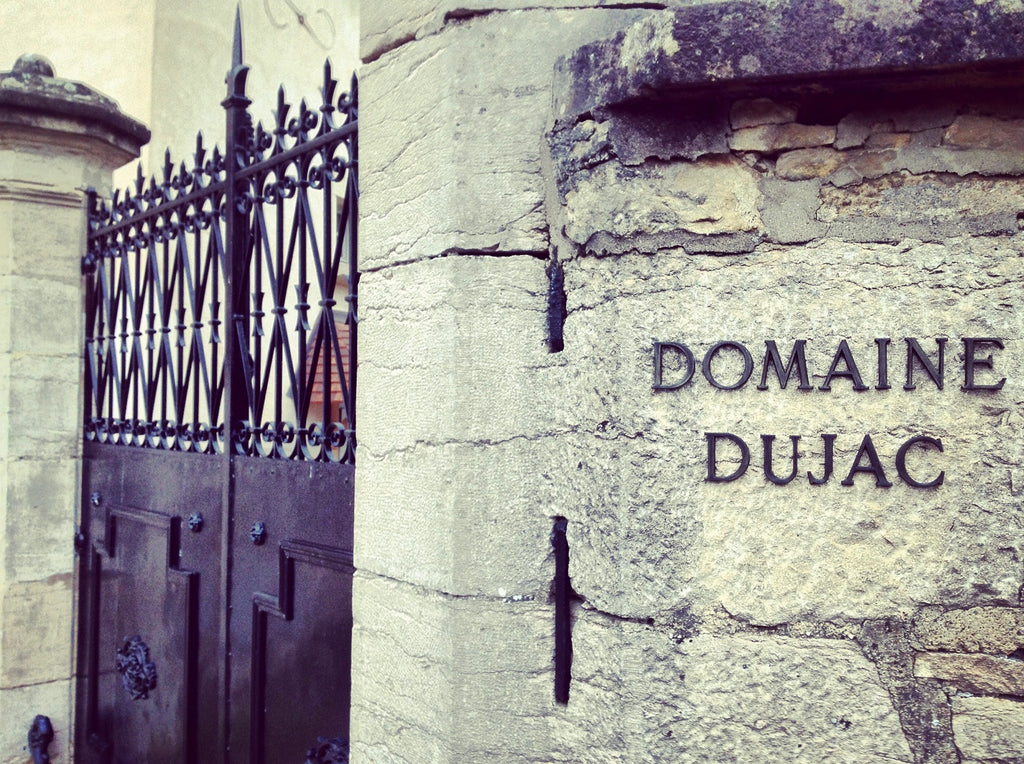 2022 Domaine Dujac: Charm Personified